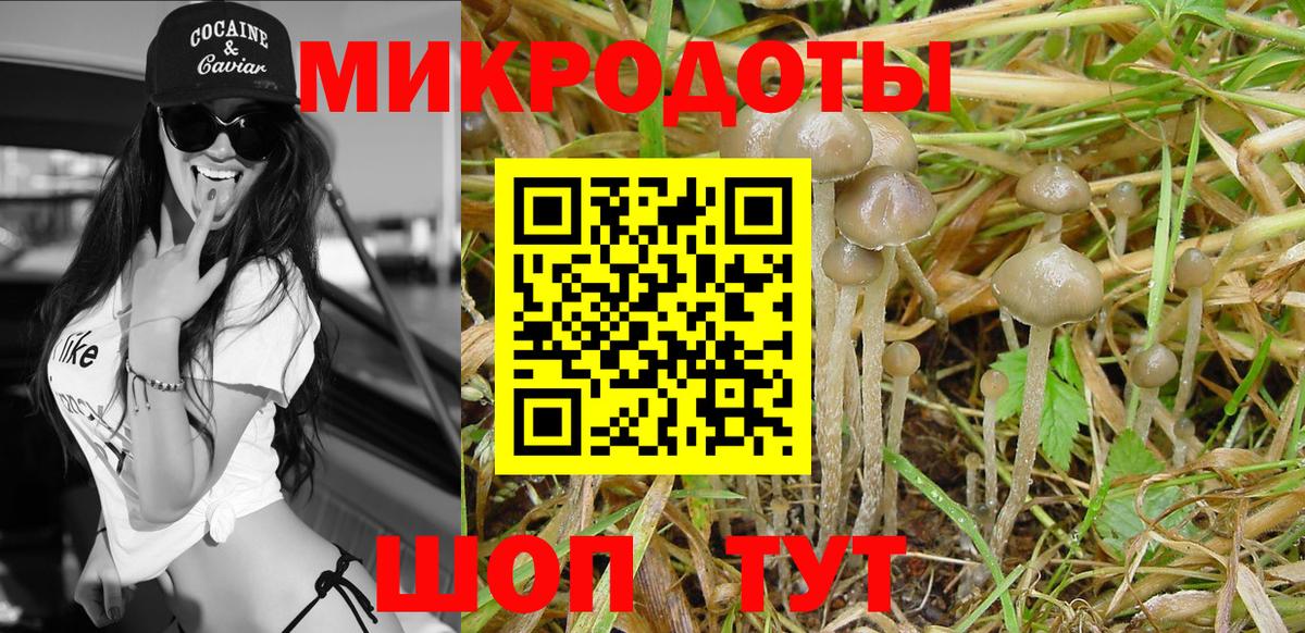 Псилоцибиновые грибы Magic Shrooms Сорочинск