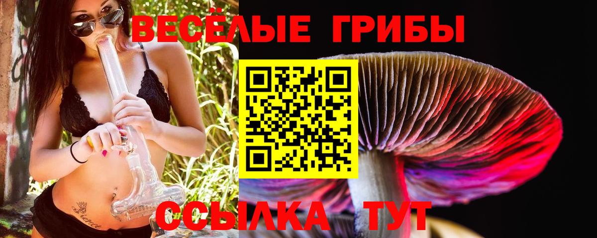 Псилоцибиновые грибы мицелий  Псилоцибиновые грибы прущие грибы  Сорочинск  Вход с VPN 
