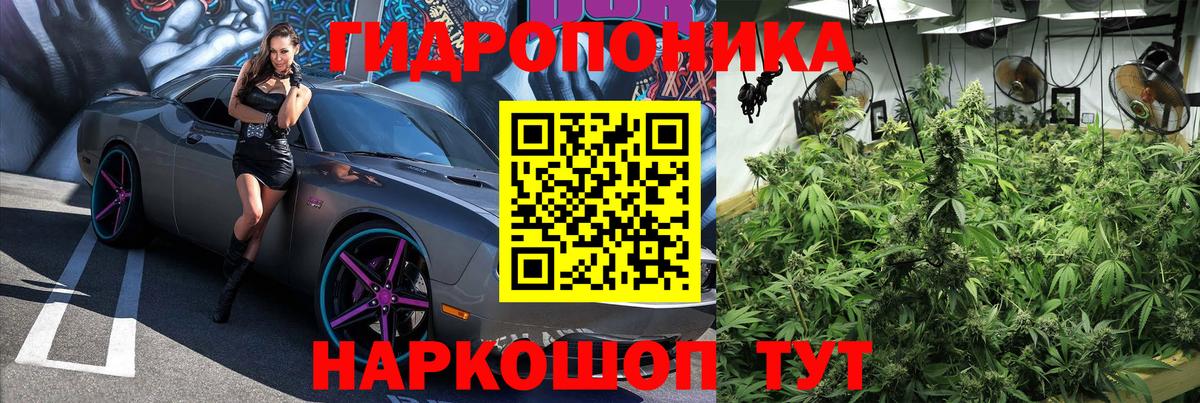 Бошки марихуана планчик Сорочинск